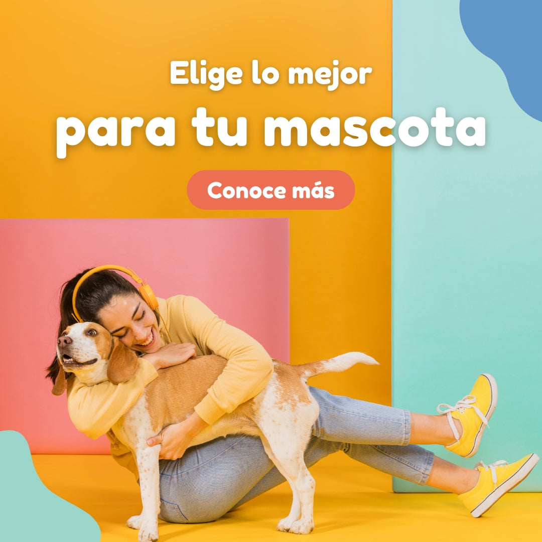 mascotas-mobile_486e7272-9616-4ee2-ad3d-7c91abd414aa.jpg