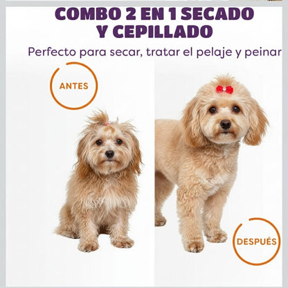 💨 Secador - Cepillo 2 en 1: Pelaje Suave, Secado Rápido y Sin Estrés - CasaPeluda